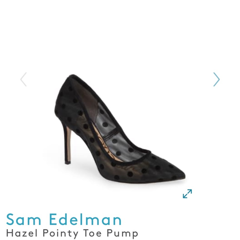 am Edelman Hazel pointy pump